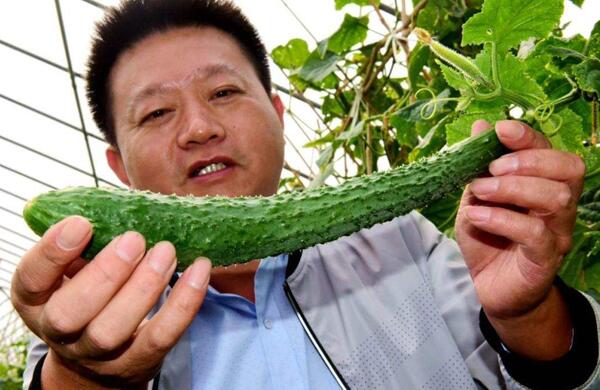 生鮮食材配送為什么大多不能與客戶建立長(zhǎng)期合作？